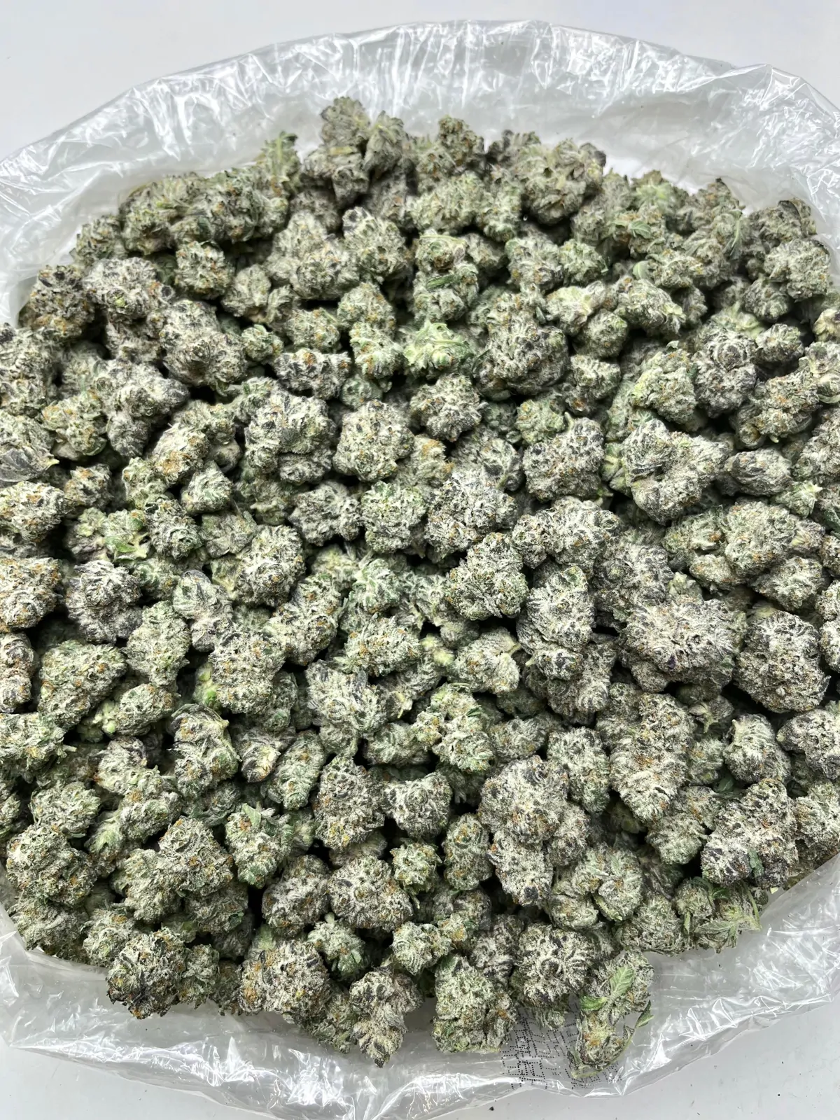 Oreoz Flower